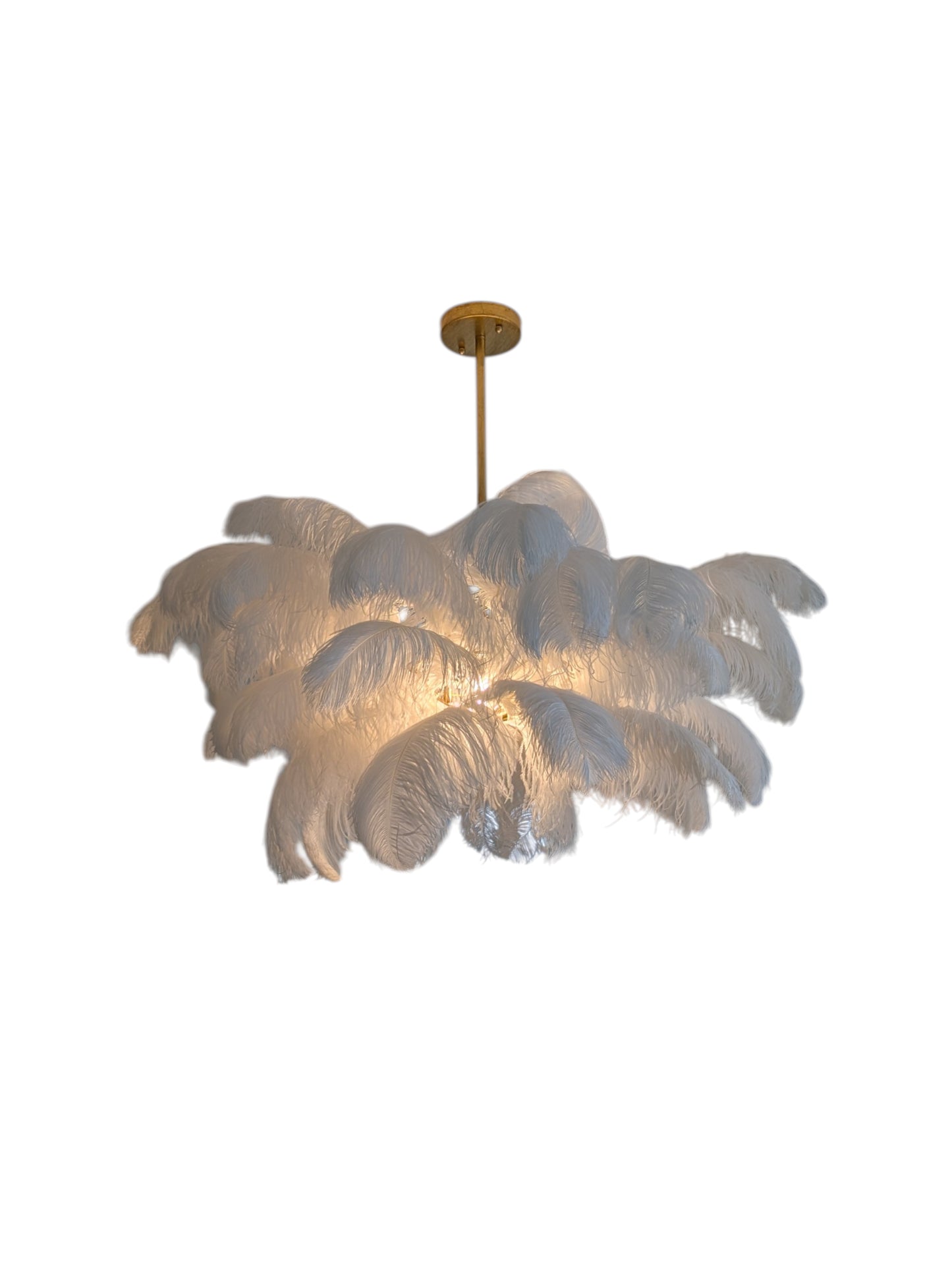 Regina Andrew Josephine Ostrich Feather