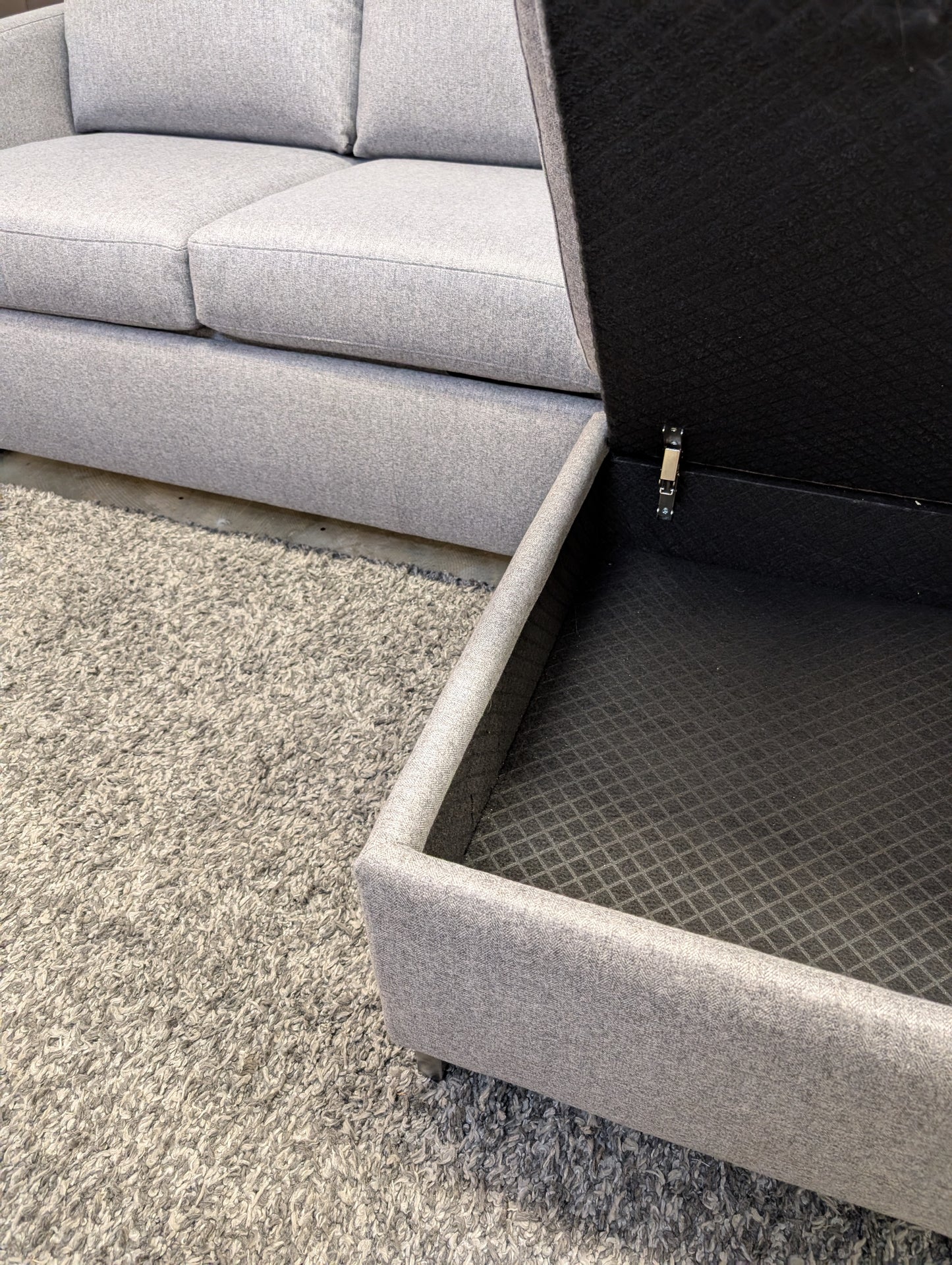 Brandt Comfort Sleeper Sectional + Storage