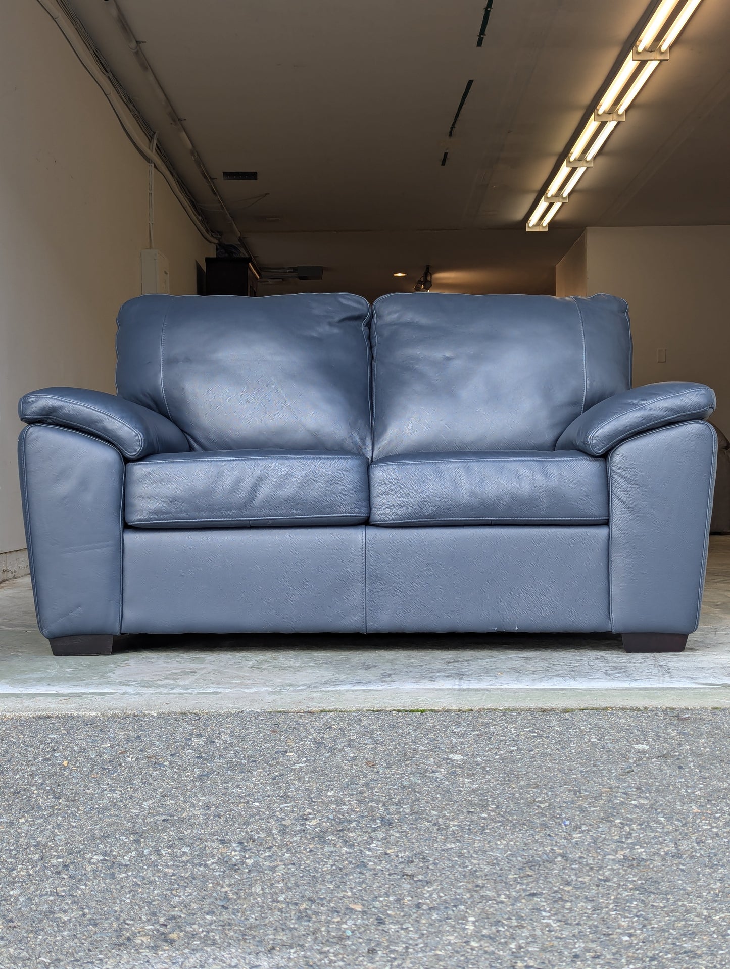 Gaetano Leather Loveseat