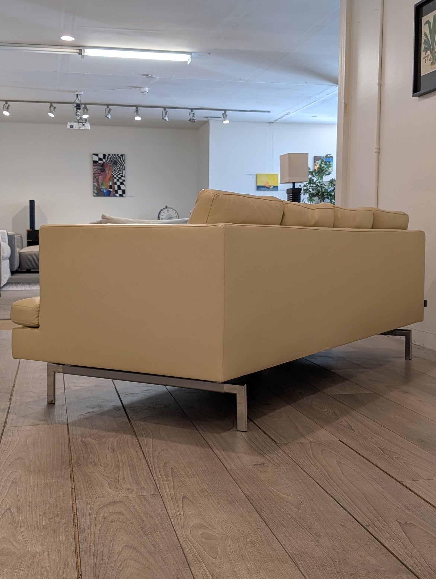Stricto Sensu Sofa