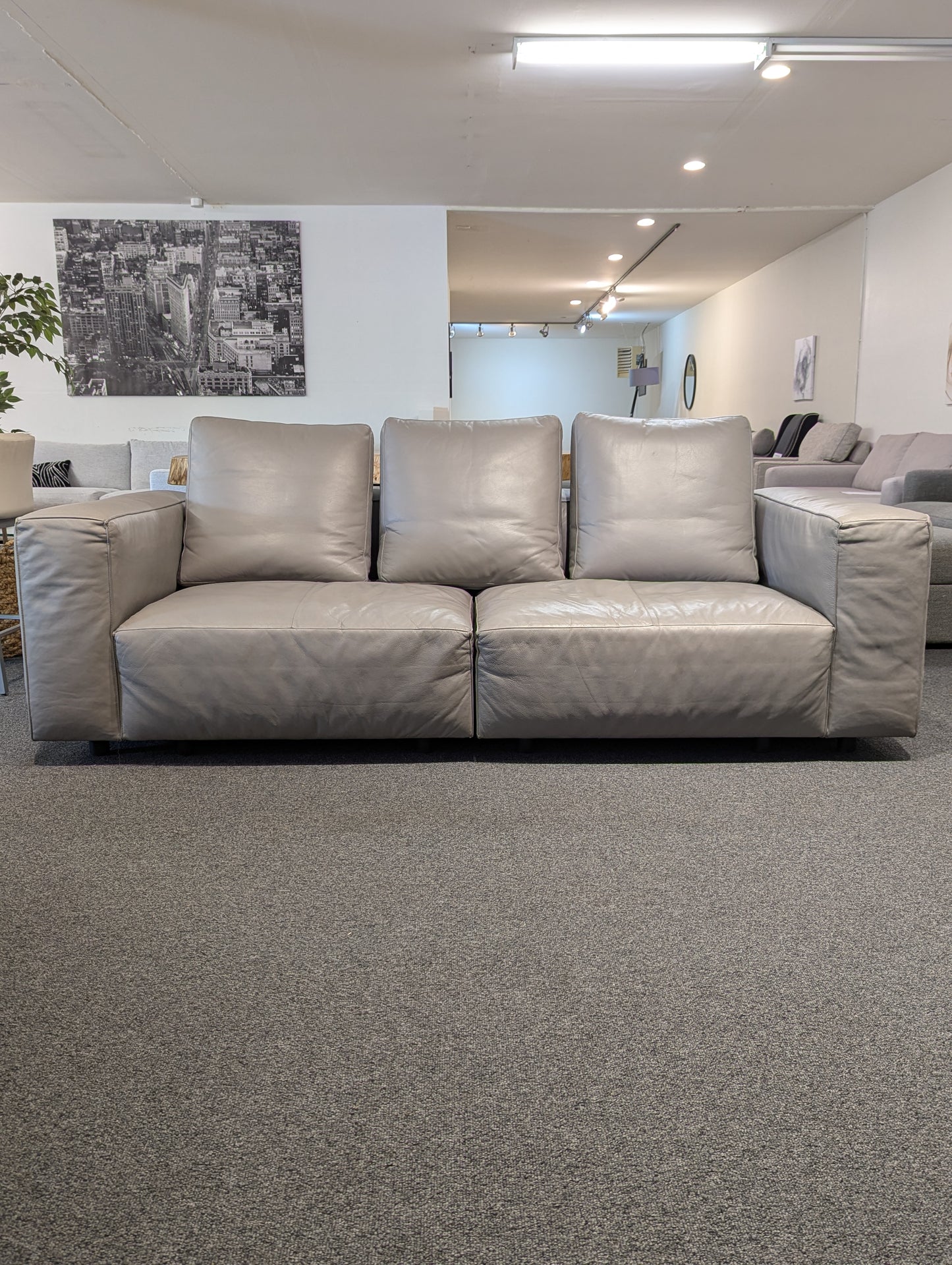 Ligne Roset Nils Sofa + Ottoman