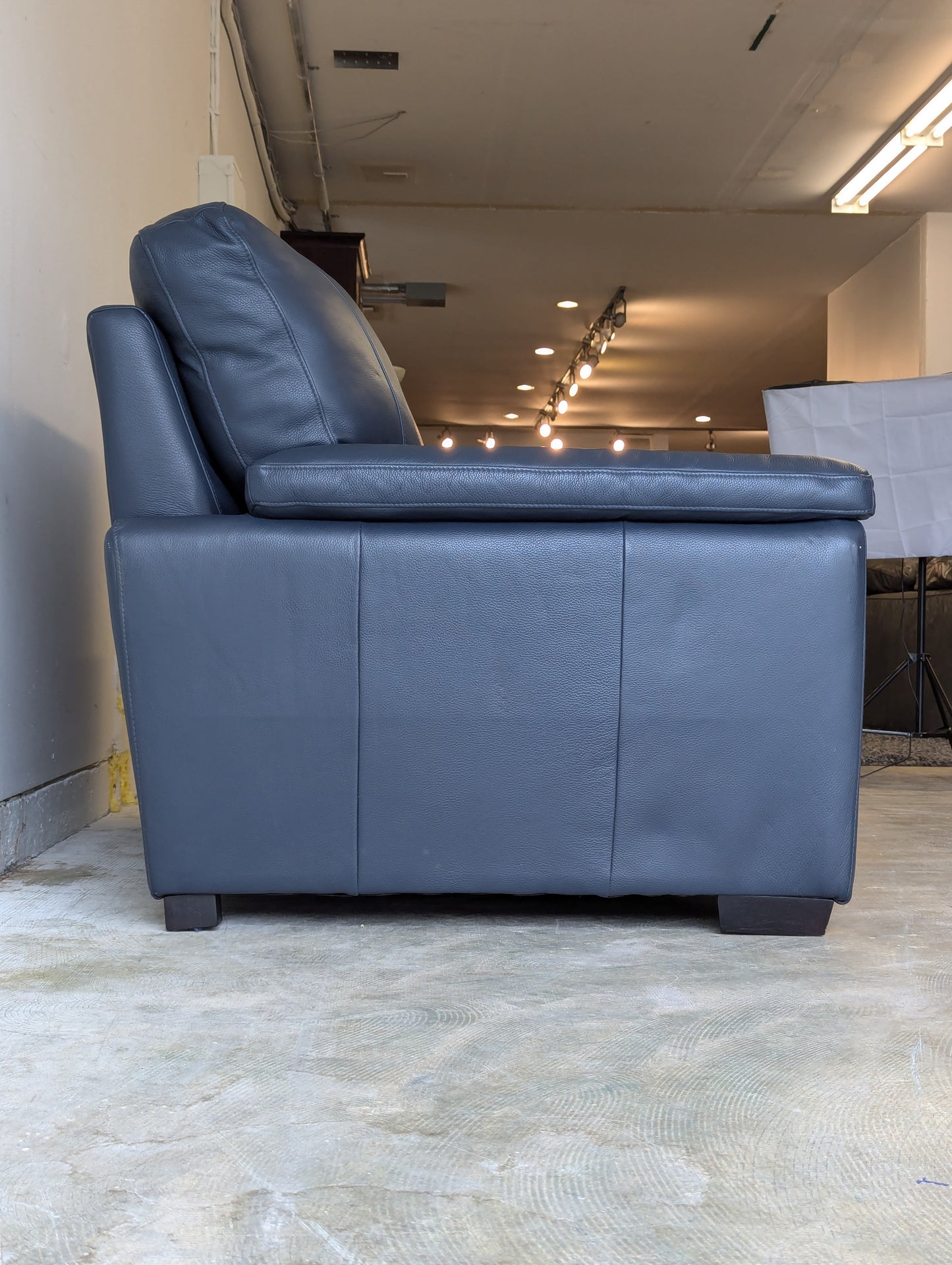 Gaetano Leather Loveseat