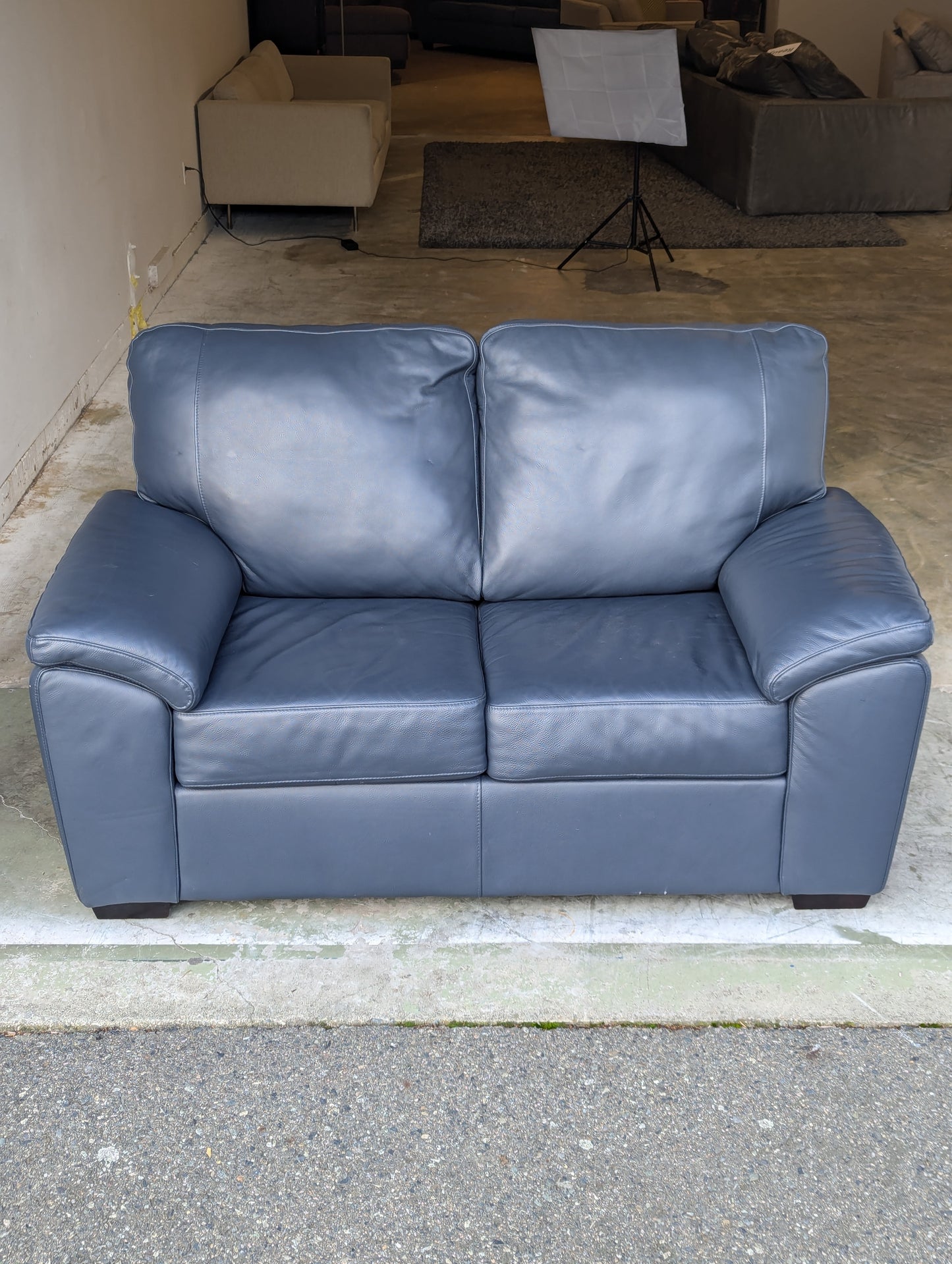 Gaetano Leather Loveseat