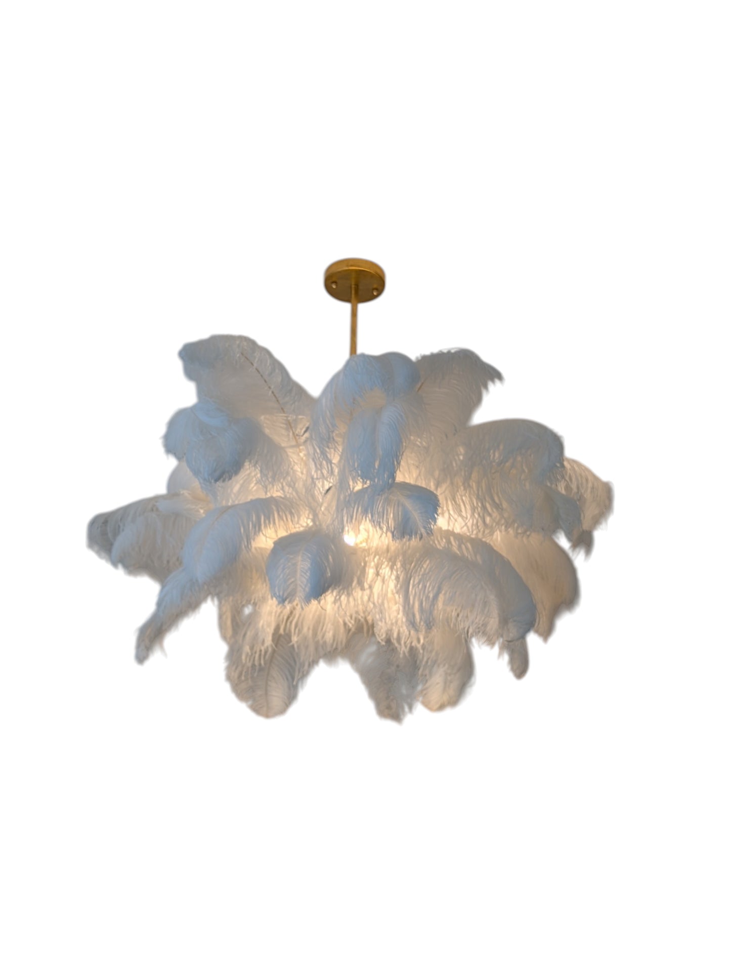 Regina Andrew Josephine Ostrich Feather