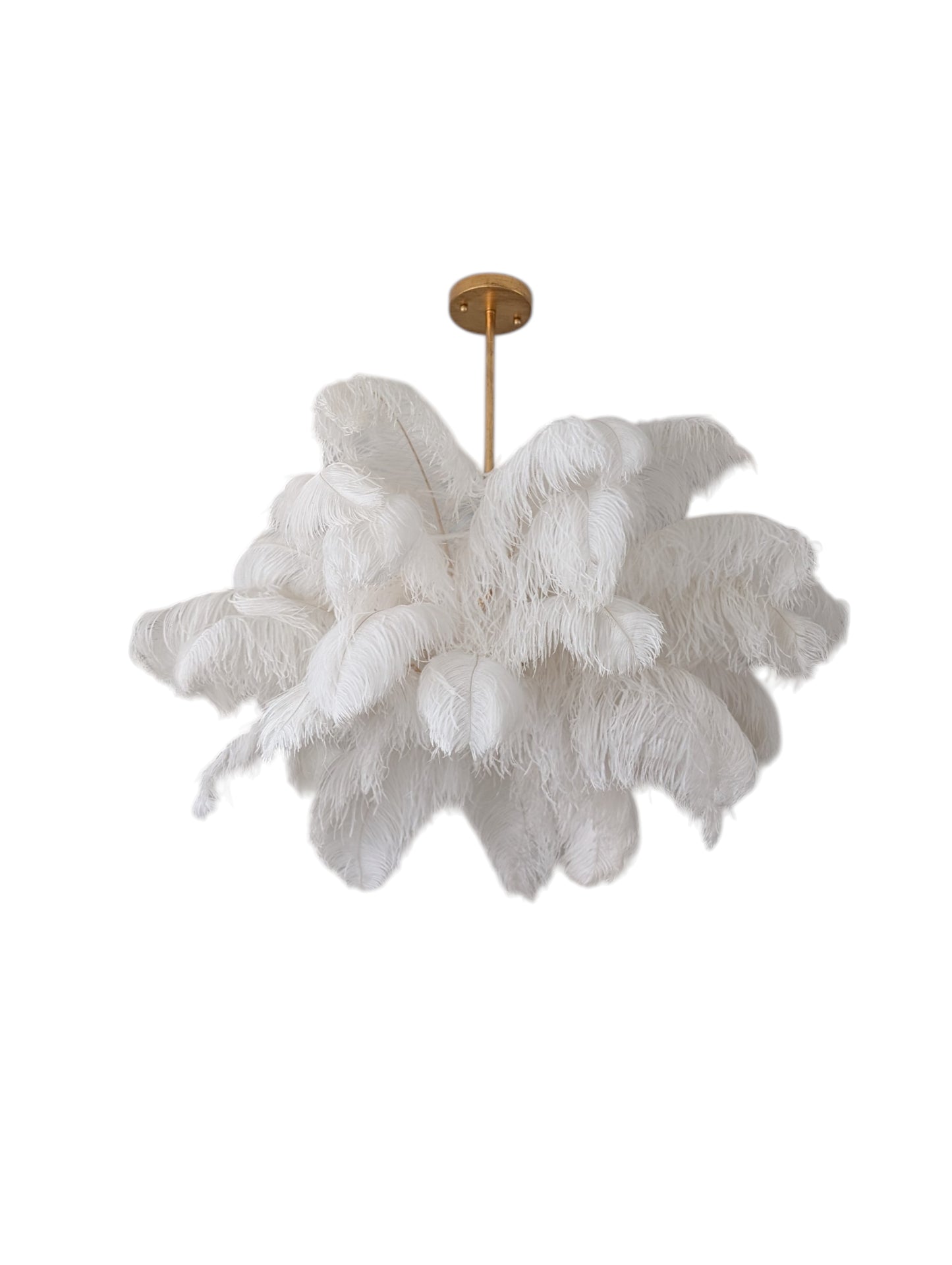 Regina Andrew Josephine Ostrich Feather