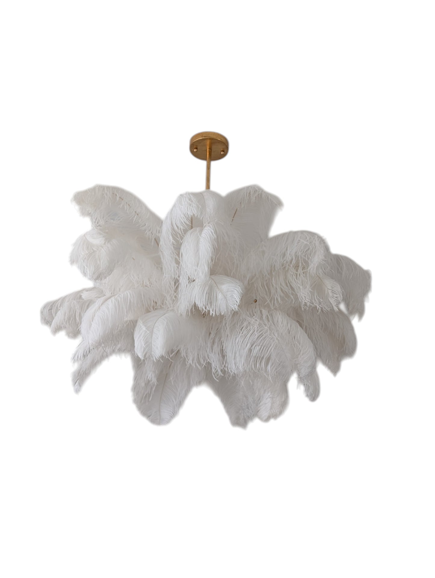 Regina Andrew Josephine Ostrich Feather