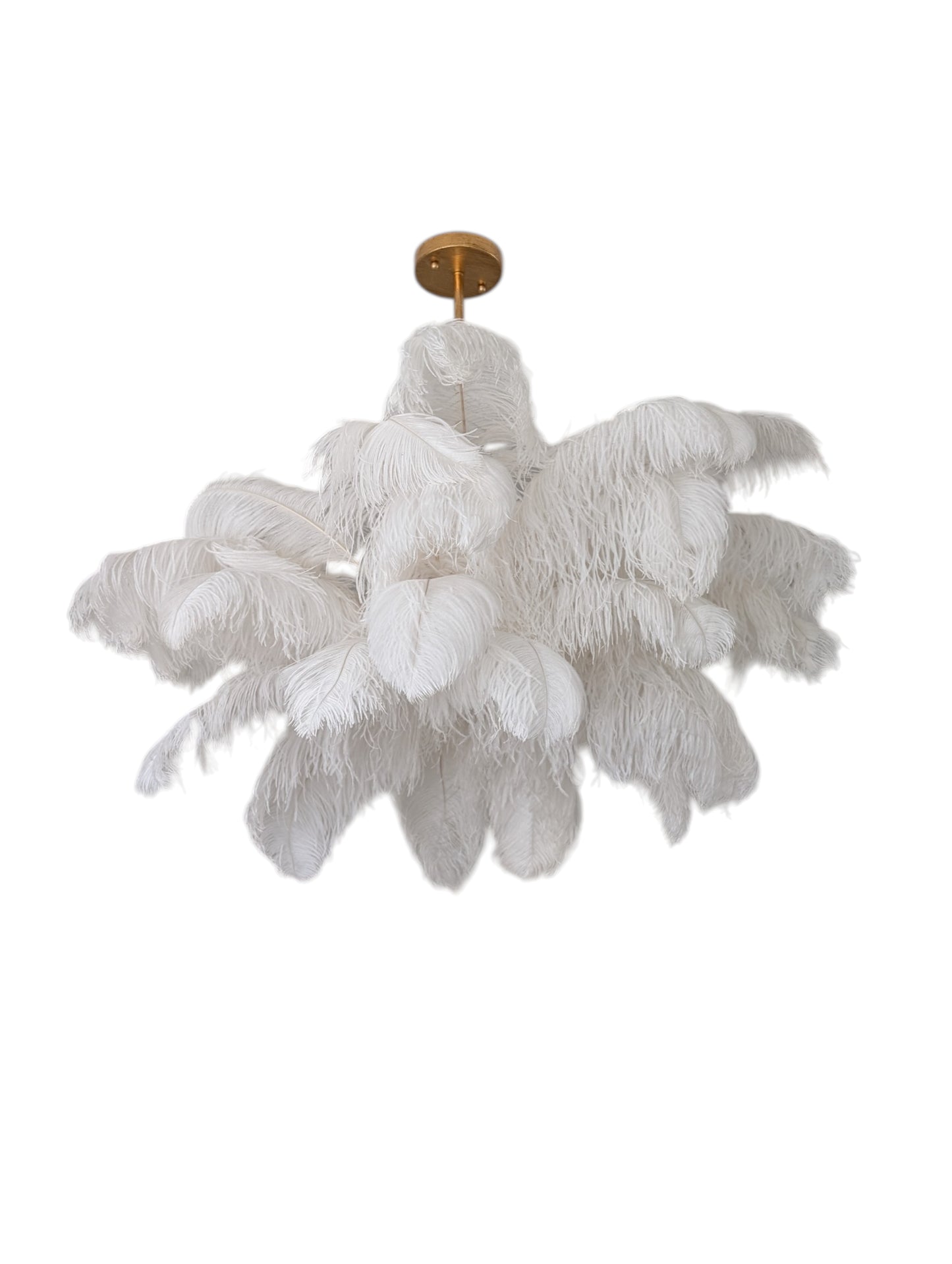 Regina Andrew Josephine Ostrich Feather