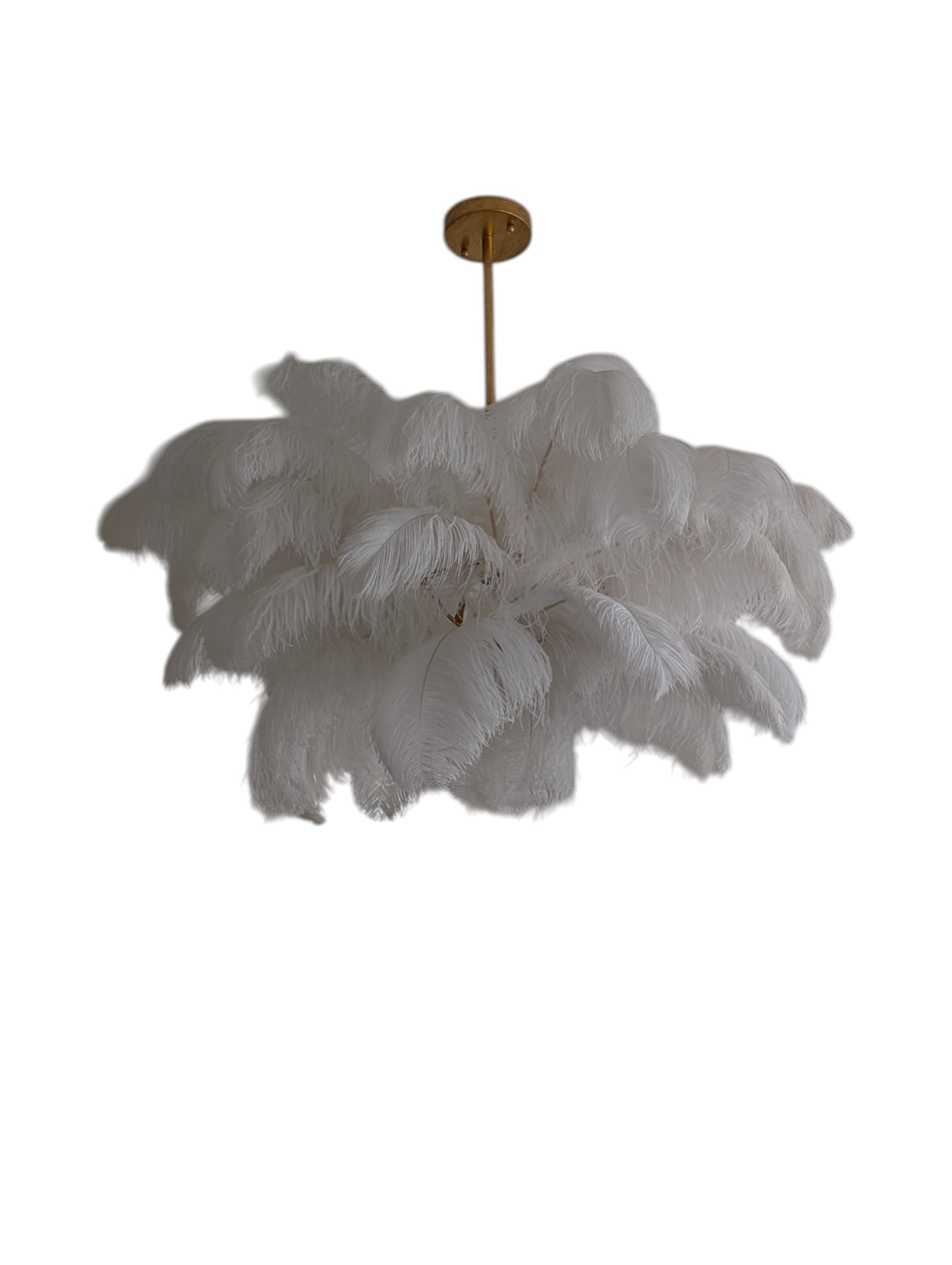 Regina Andrew Josephine Ostrich Feather