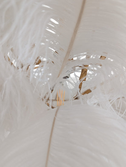 Regina Andrew Josephine Ostrich Feather