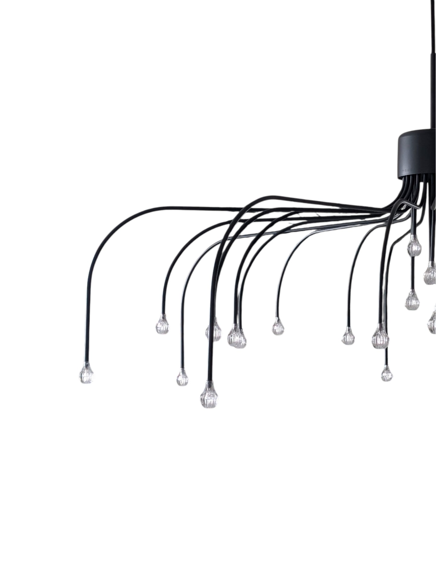 Moooi Starfall Light Chandelier