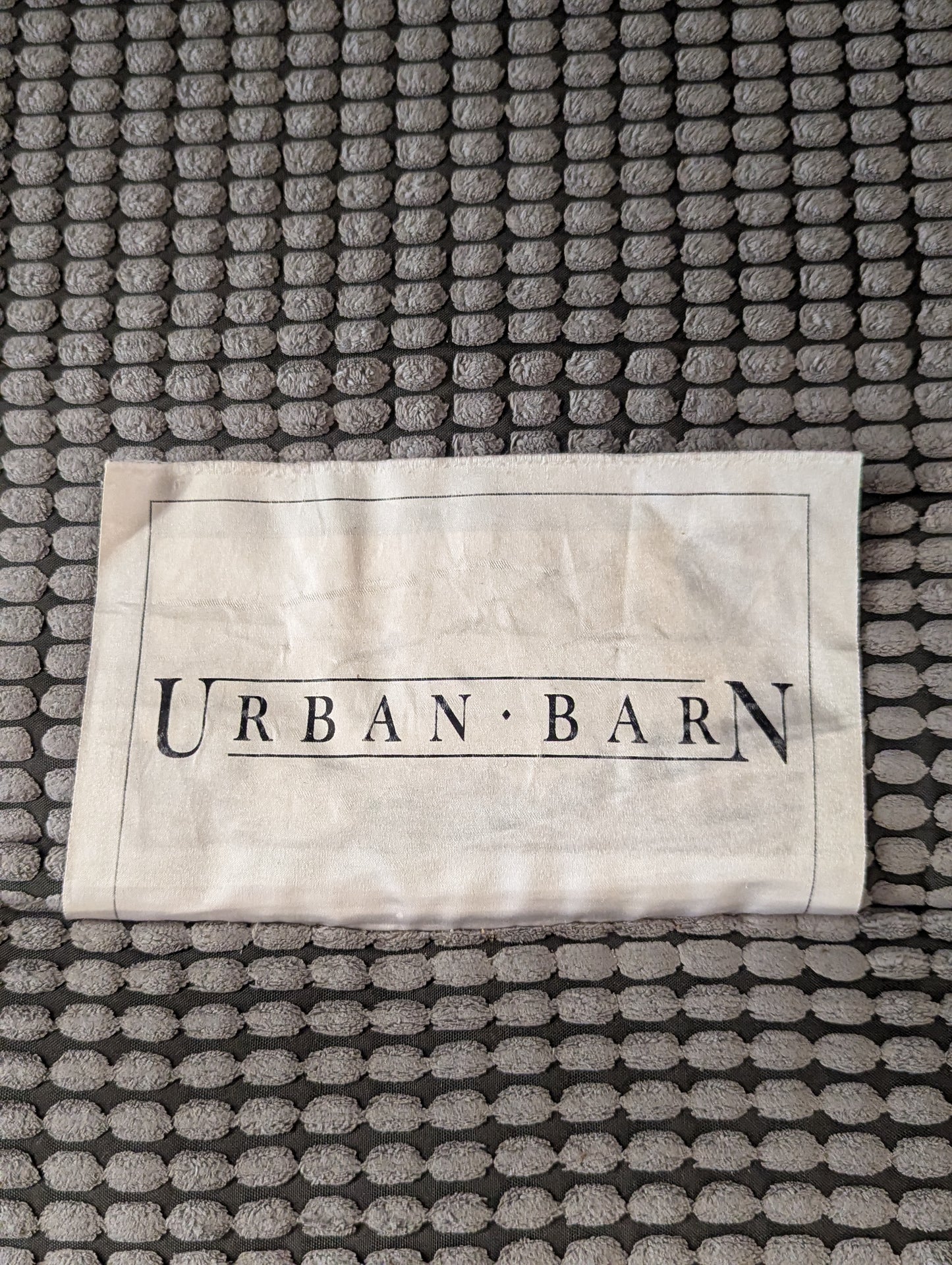 Urban Barn Nest Chair