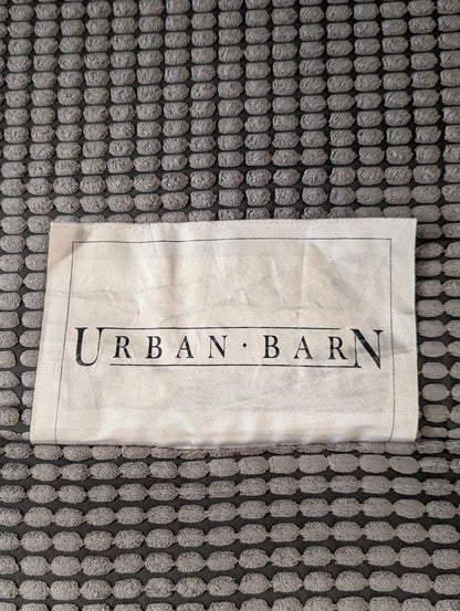 Urban Barn Nest Chair