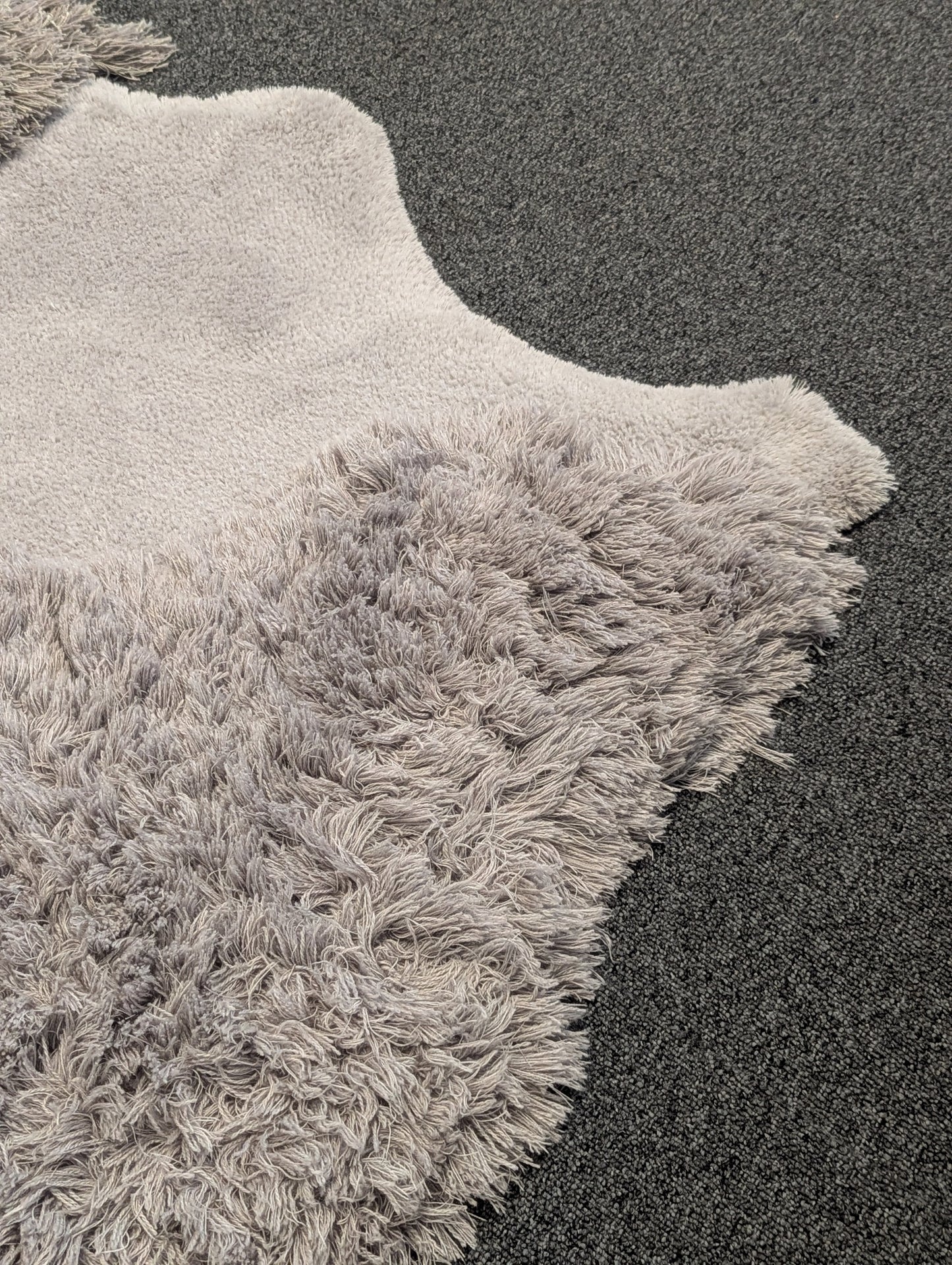 Limited Edition Rug