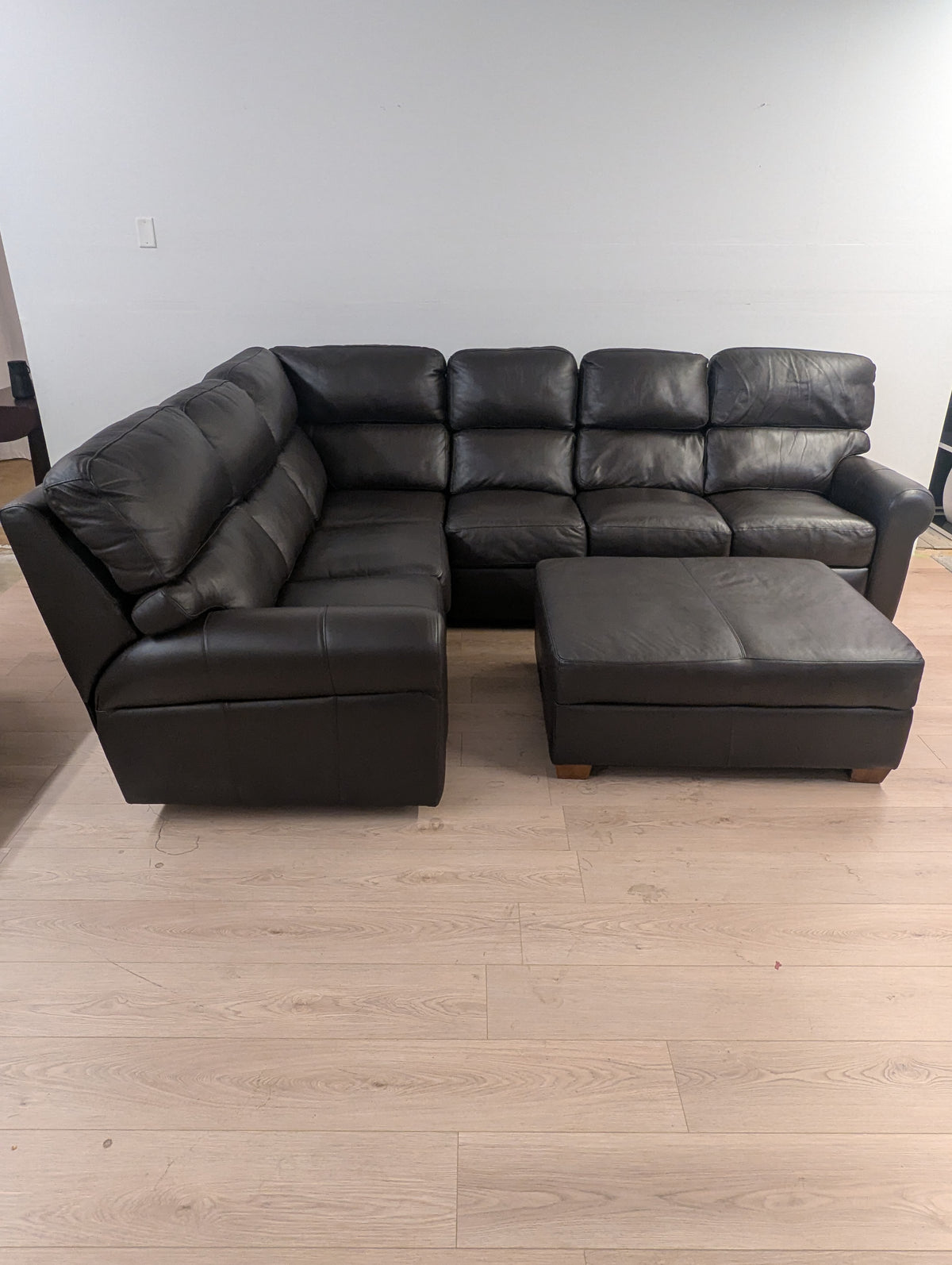 Arizona Leather Brookfield Sectional