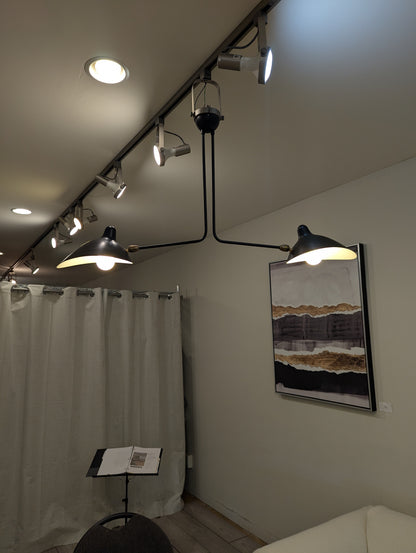 Serge Mouille Ceiling Lamp 2 Still Arms CL/25A