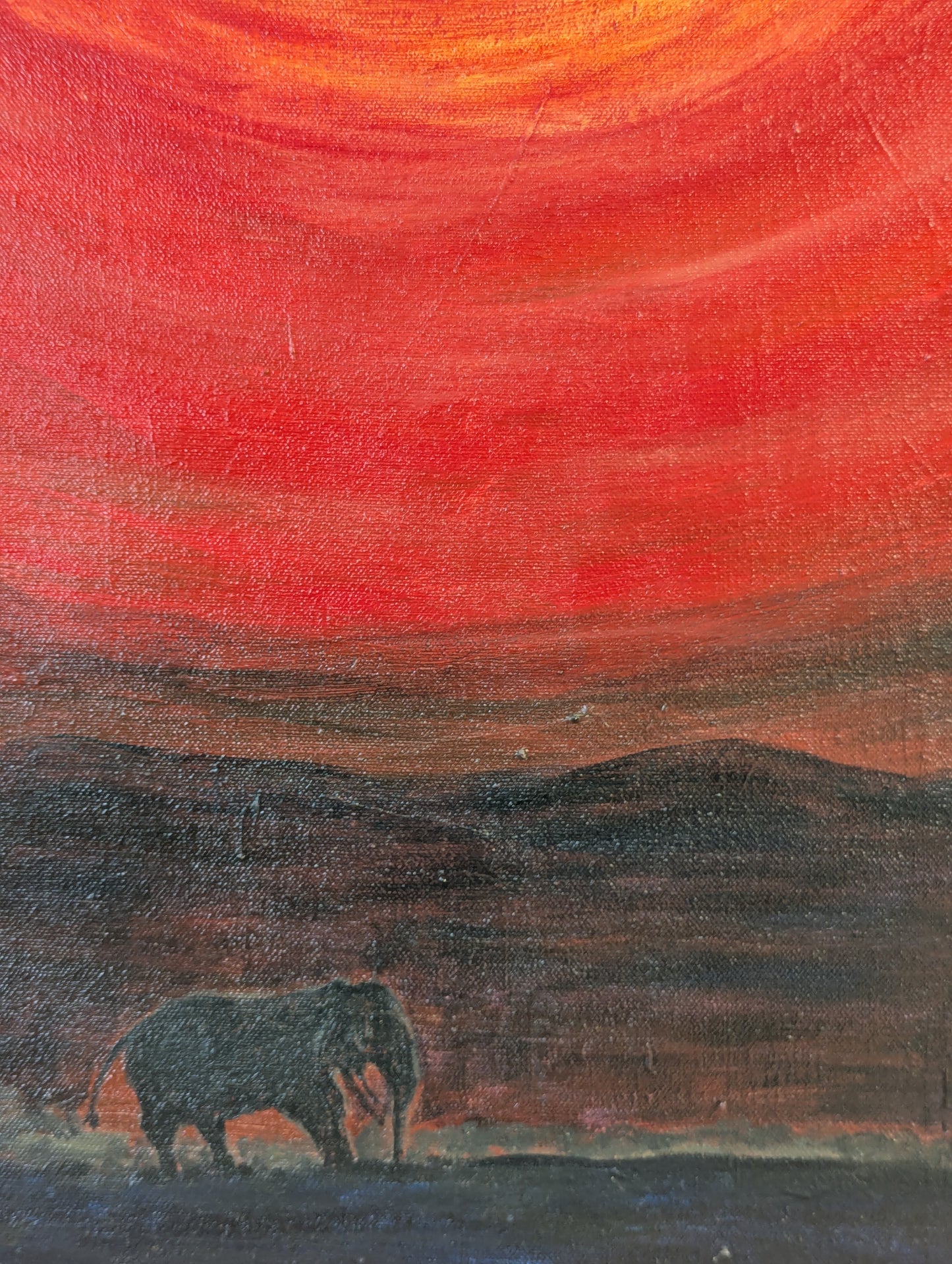 Savannah by Joan Turner