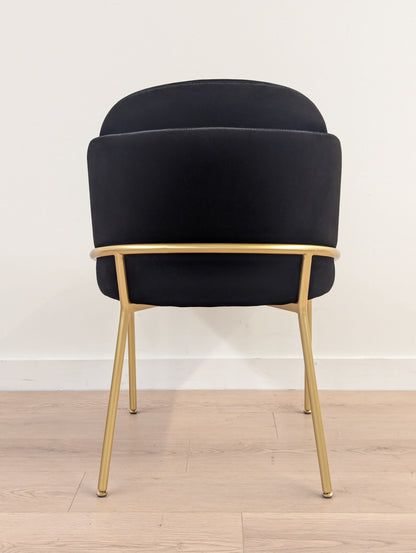 Rove Concepts Angelo Dining Chairs (Set of 6)