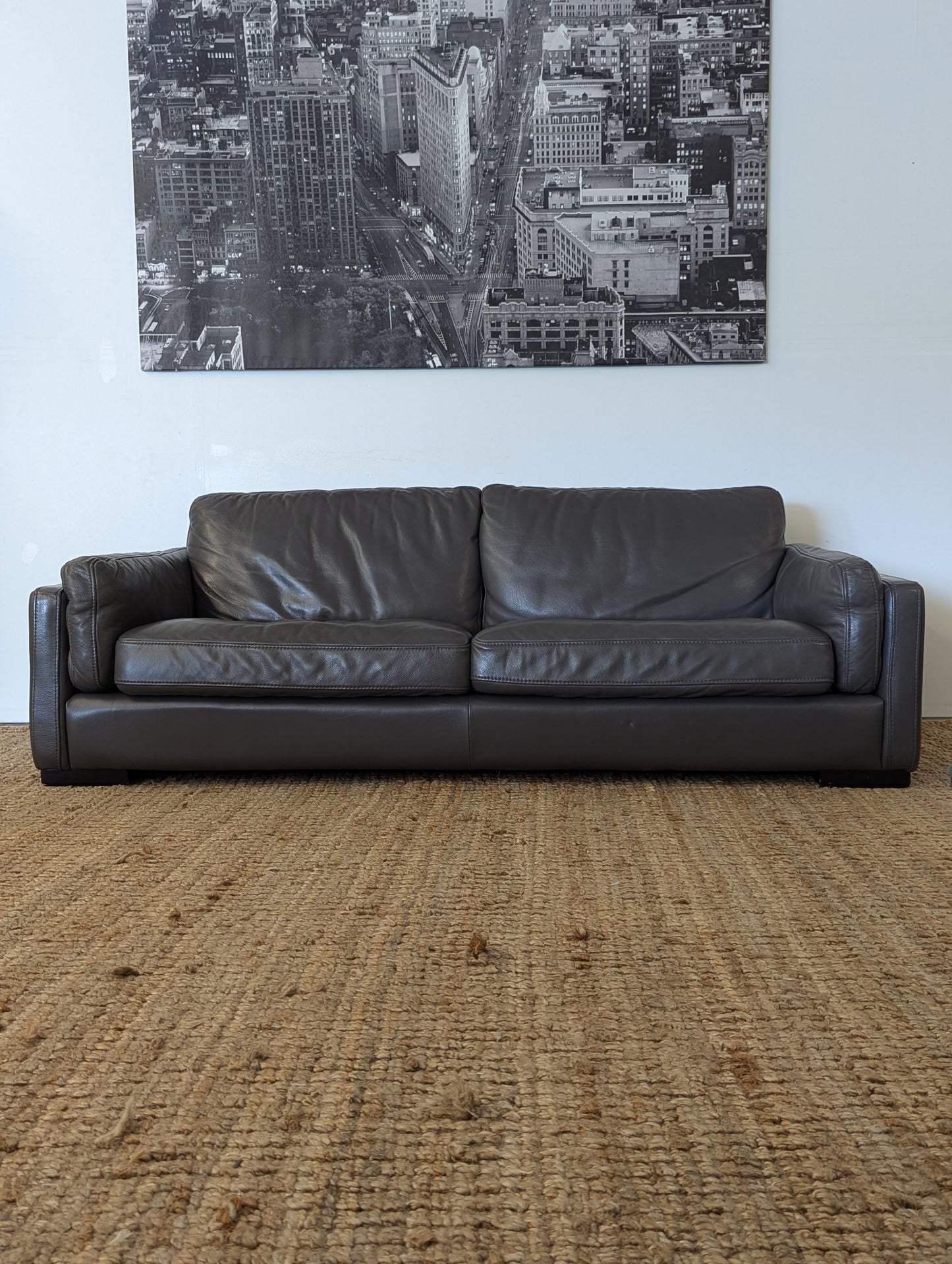 Modern Leather Sofa
