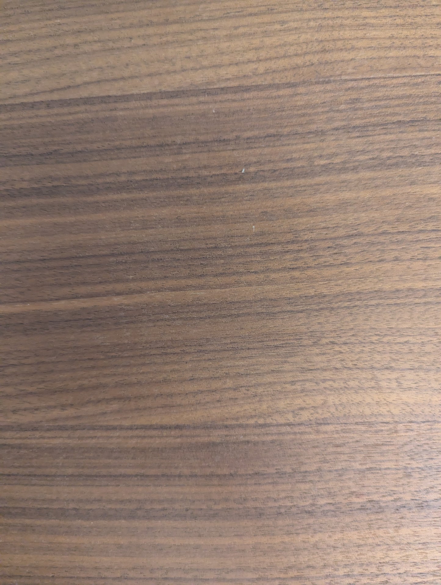 Rove Concepts Dresden Sofa Bed