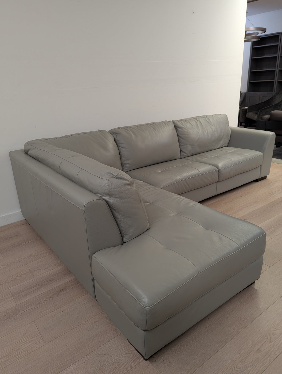 Urban Barn Boon Sectional