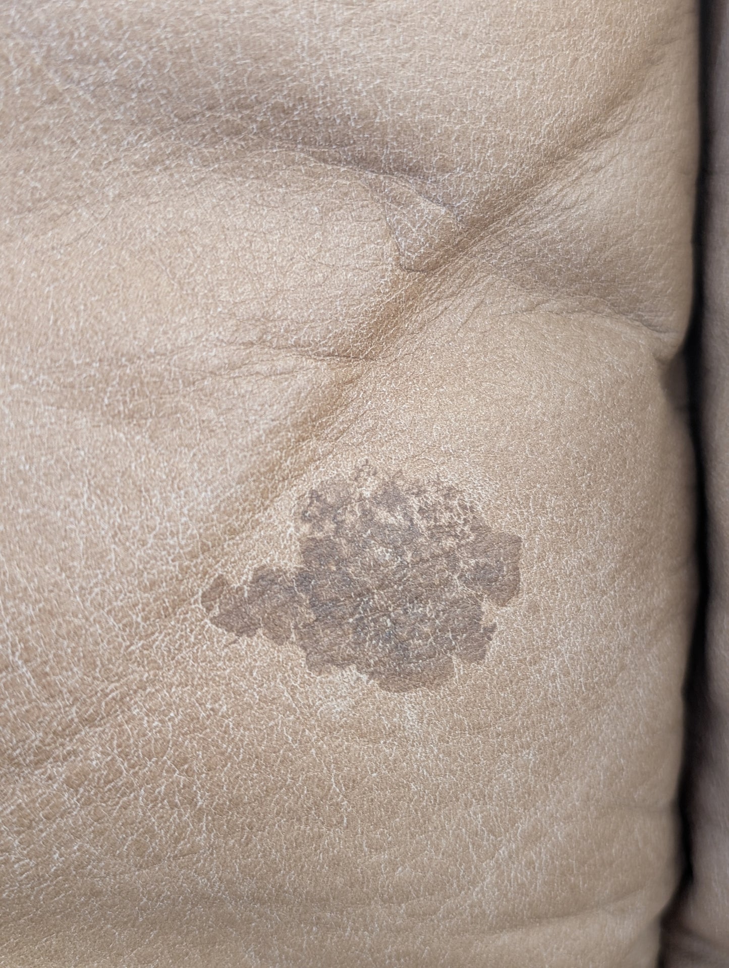 Natuzzi Italia MOD1928 3 Seat Sofa - Leather