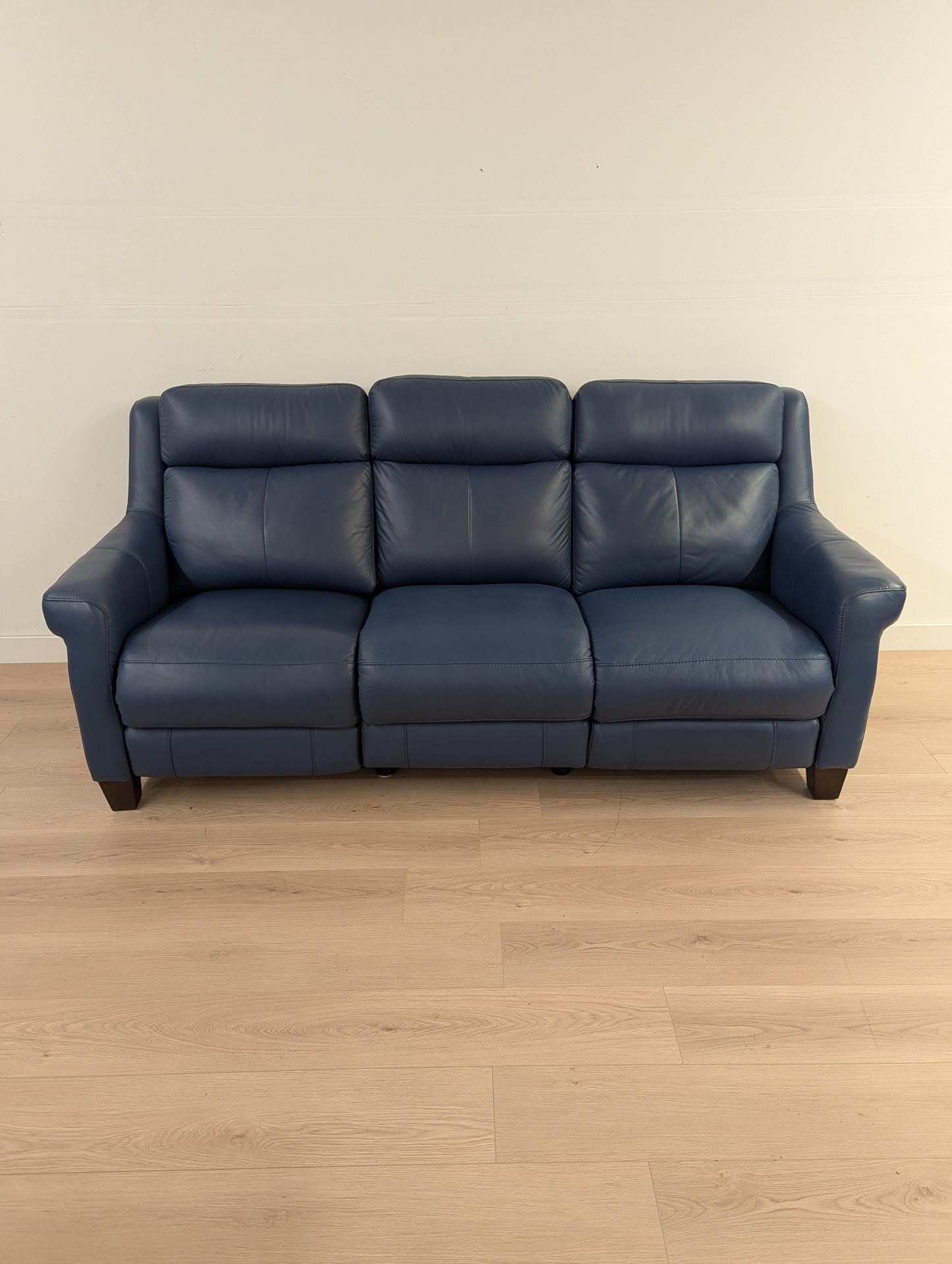 Amax Houston Power Reclining Leather Couch