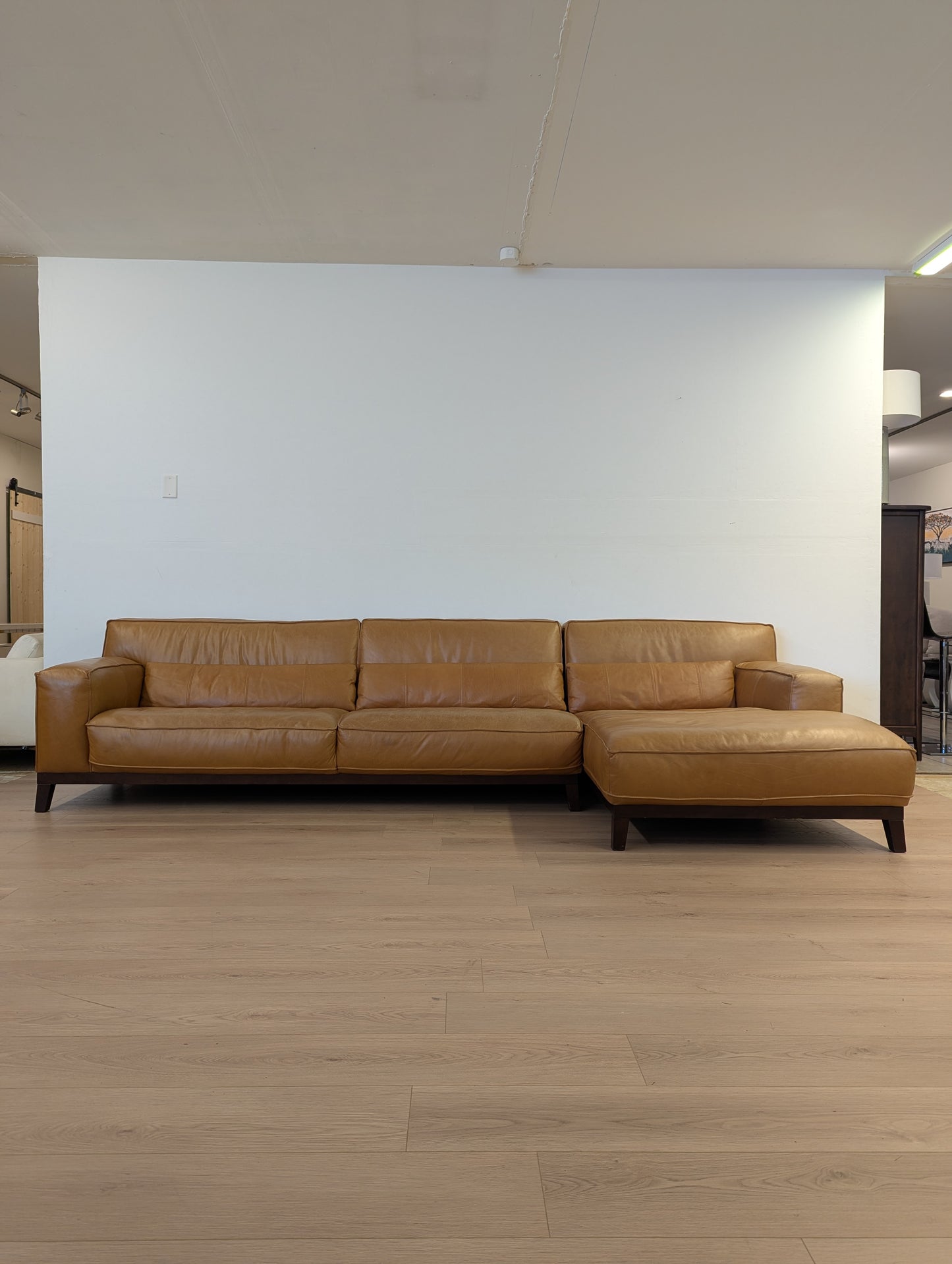 Moe's Marion Sectional
