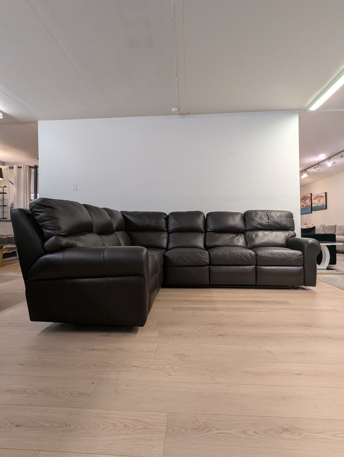 Arizona Leather Brookfield Sectional