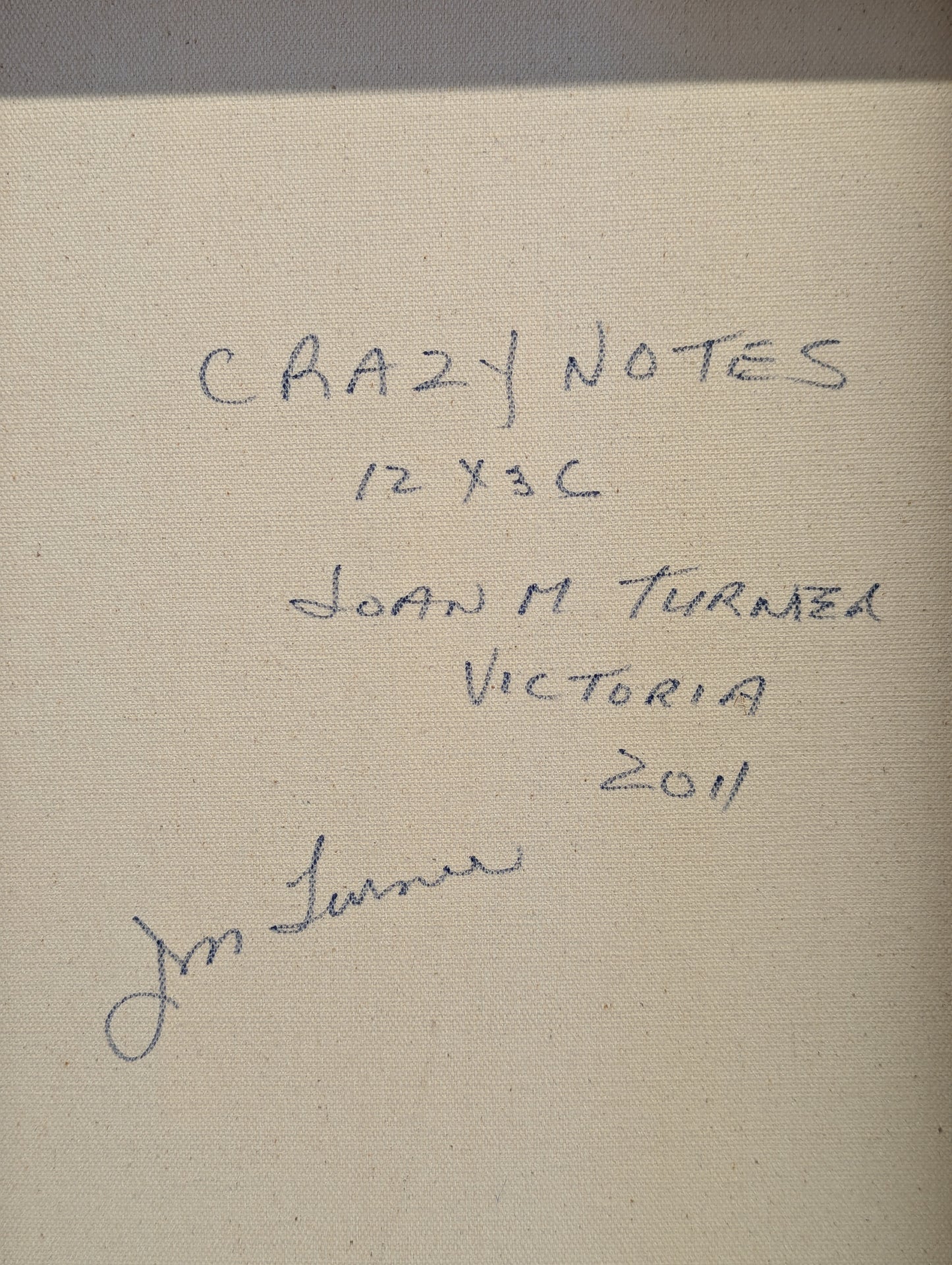 Crazy Notes by Joan Turner