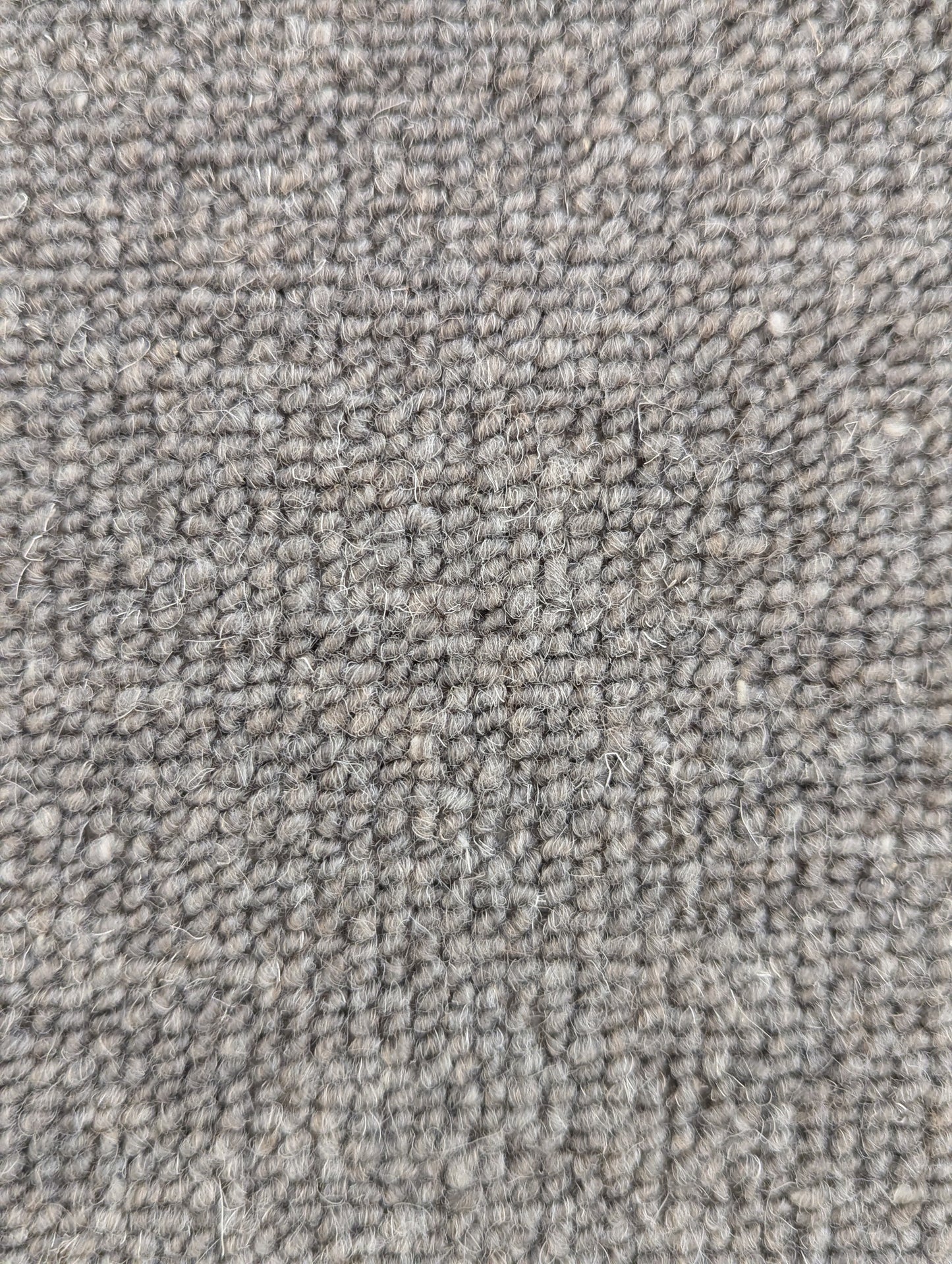 7'/9' New Zealand Wool Rug - Bound Broadloom