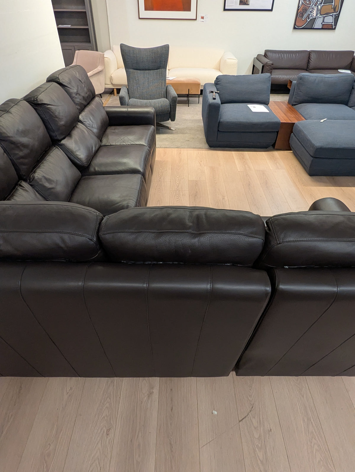 Arizona Leather Brookfield Sectional